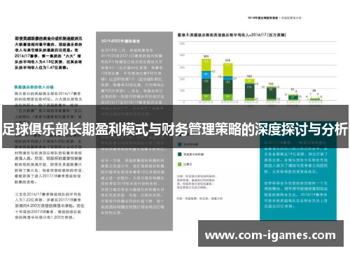 足球俱乐部长期盈利模式与财务管理策略的深度探讨与分析