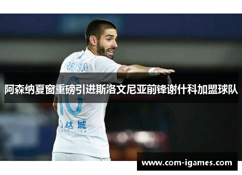 阿森纳夏窗重磅引进斯洛文尼亚前锋谢什科加盟球队